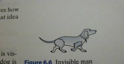 15 Corny Jokes Hidden Inside Textbooks