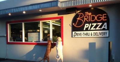 13 Pizza Freaks Who Also Happen To Be Dogs