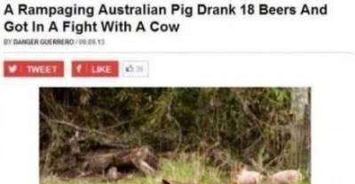 Meanwhile In Australia...