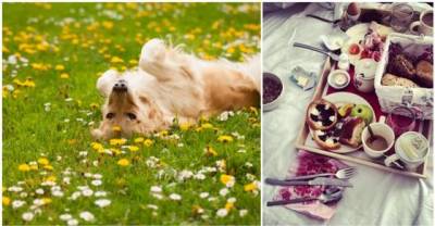 12 Odd Things The We've All Done In Bed