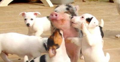 16 Pictures Guaranteed To Make You Smile...