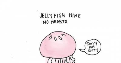 13 Sad Animal Facts To Prove That Being A Human Isn&rsquo;t All Bad