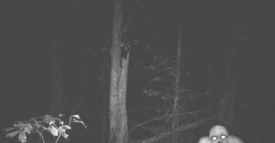 14 Hunters Filmed Ghost On Their Cameras !! Don't Look At #12 If You Are Alone