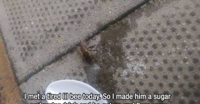 14 Pictures Guaranteed To Make You Smile