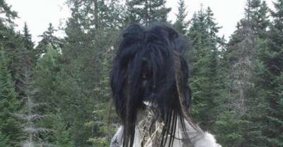 He Went For A Drive In The Woods, But Never Expected To Find This Creep Fest