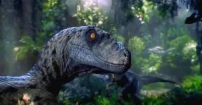 Fun Facts Your Probably Didn't Know About Jurassic Park.