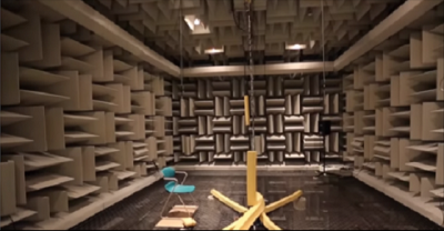 This Is The Quietest Place On Earth And It Can Actually Drive You Insane.