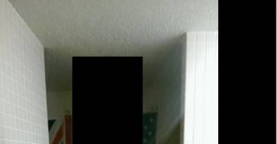 Most Downright Insane Things That Have Ever Happened