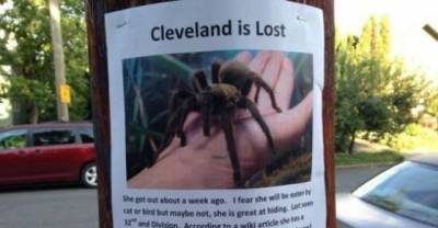Here Are some Pictures That Are Examples Of Pure NOPE