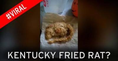 #KFC Served &ldquo;Deep Fried Rat&rdquo; In A Meal?