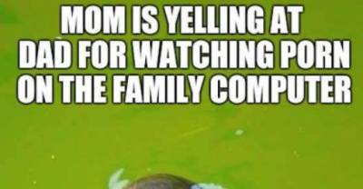 23 Hilarious Memes Of 2015 That Escalated Too Quickly