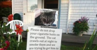 35 Hilarious Notes From Unimpressed Neighbors