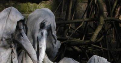 15 Most Bizarre Things From The Past That Will Haunt You In The Present