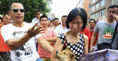 Dog Lovers And Dog Eaters Square Off At China's Yulin Festival