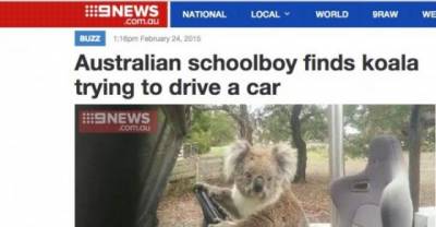 Meanwhile In Australia: The 17 Most Australian Images to Have Ever Happened