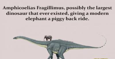 38 Real Size Comparisons That Will Make Your Head Explode
