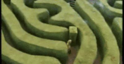 Sorry Everyone, All 10 Of These GIFS Are Big Lies
