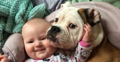 11 Dogs Who Just Aren't Sure About The New Baby