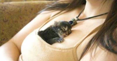 29 Places You Never Expected To Find Your Cat