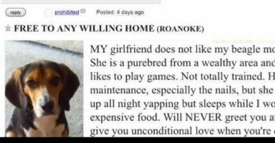 Boyfriend Posts The Best Ad After His Girlfriend Requests He Get Rid Of His Dog