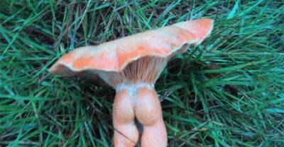 30 Images Will Force You To Think Dirty
