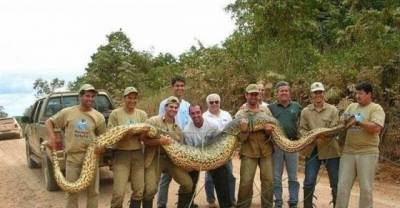 20 Incredibly Monster Creatures that Will SURELY SHOCK You!