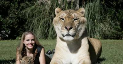 Some Peculiar Facts To Satisfy Your Curious Thirst