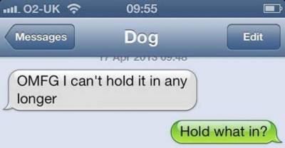34 Of The Best Texts From Dog