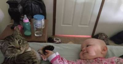 Kitty Found His Human Mom When She was Pregnant. Now He and the Little Baby are Inseparable!
