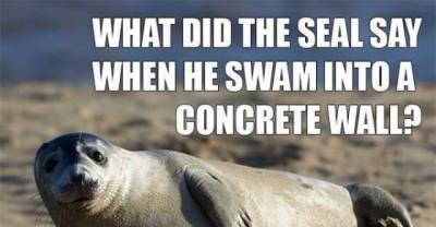 You Just Won't Be Able To Resist Laughing At These Stupid Puns