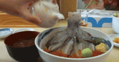 20 Trippy GIFs That Will Make You Go, "Whoa... That's Crazy"