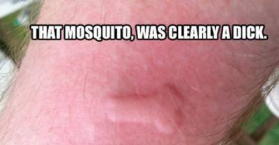 16 Cringe-Worthy Reasons to Stay Indoors This Summer
