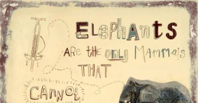 15 Bizarre Facts That Deserve To Be Memorized