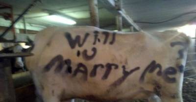 25 Cringeworthy Proposals That Will Make You Want To Be Single Forever