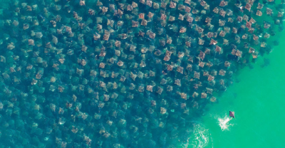 Whatever You Do: Do NOT Jump In The Water Right Now... OMG