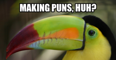 17 Totally Hilarious and Wacky Animal Puns!
