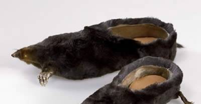 What On Earth? How Do They Even Walk In These 15 Crazy Pairs Of Footwear?