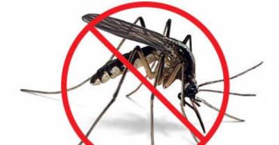 Why Do Mosquitoes Bite Some People More Than Others?