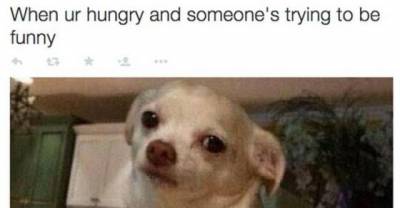 23 Pictures That Perfectly Describe How You Feel About Food