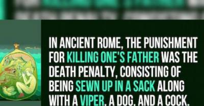 Drop Some Knowledge Bombs On Your Friends With These 31 Bizarre Facts