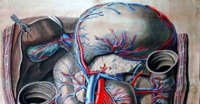 Your Body Is Nature's Miracle - Just Look At These Strange Facts And Get Shocked!