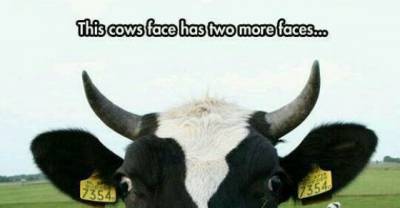 15 Amusing Images That Will Make You Giggle