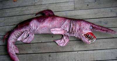 21 Strange And Unusual Animals You Didn&rsquo;t Know Exist