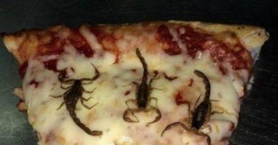 24 Shocking Pictures That Contains a Whole Lot of Nops