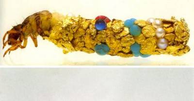These Creatures Build the Most Mind-Blowing Cocoons You&rsquo;ve Ever Seen