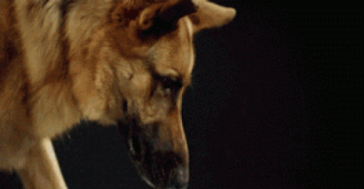 23 Things That Are Never Taught At School But You Should Definitely Know