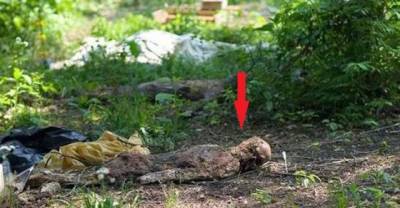 This Extraordinary Farm Grows Something Morbid Other Than Crops