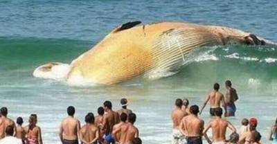 26 Images You Will Never Believe Are Real