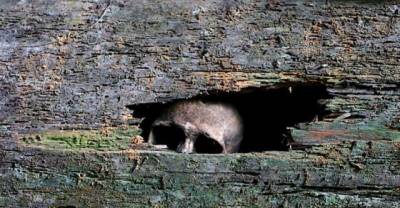 15 Of The Most Creepy Destinations You'll Ever Visit In A Lifetime.