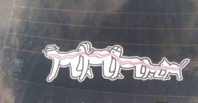 22 Things You Just Don't See Everyday